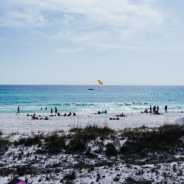 Senor Frogs Pcb Beach Blast Gallery Monday 03 11 26 12