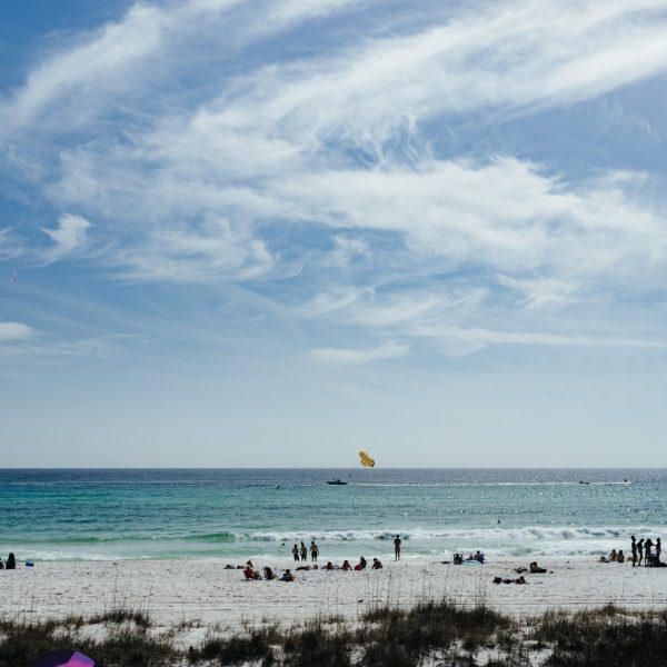 Senor Frogs Pcb Beach Blast Gallery Monday 03 11 26 13