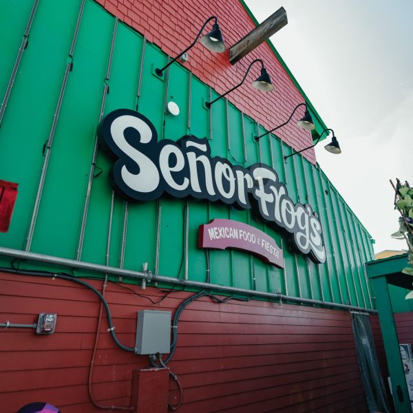 Senor Frogs Pcb Beach Blast Gallery Monday 03 11 26 25