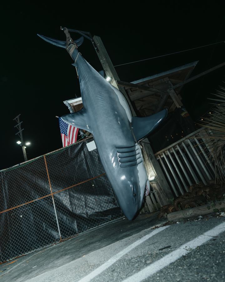 Shark sculpture on the Hammerhead Fred's building at night